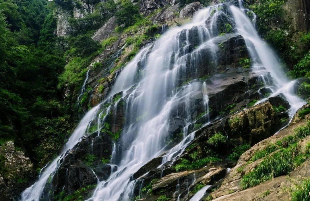 虫虫助手下载